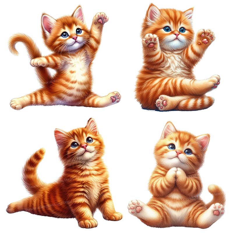 탈부착 가능한 요가 고양이 벽 스티커, 홈 데코 스티커 - Home Office Yoga Room 리뷰 및 가격